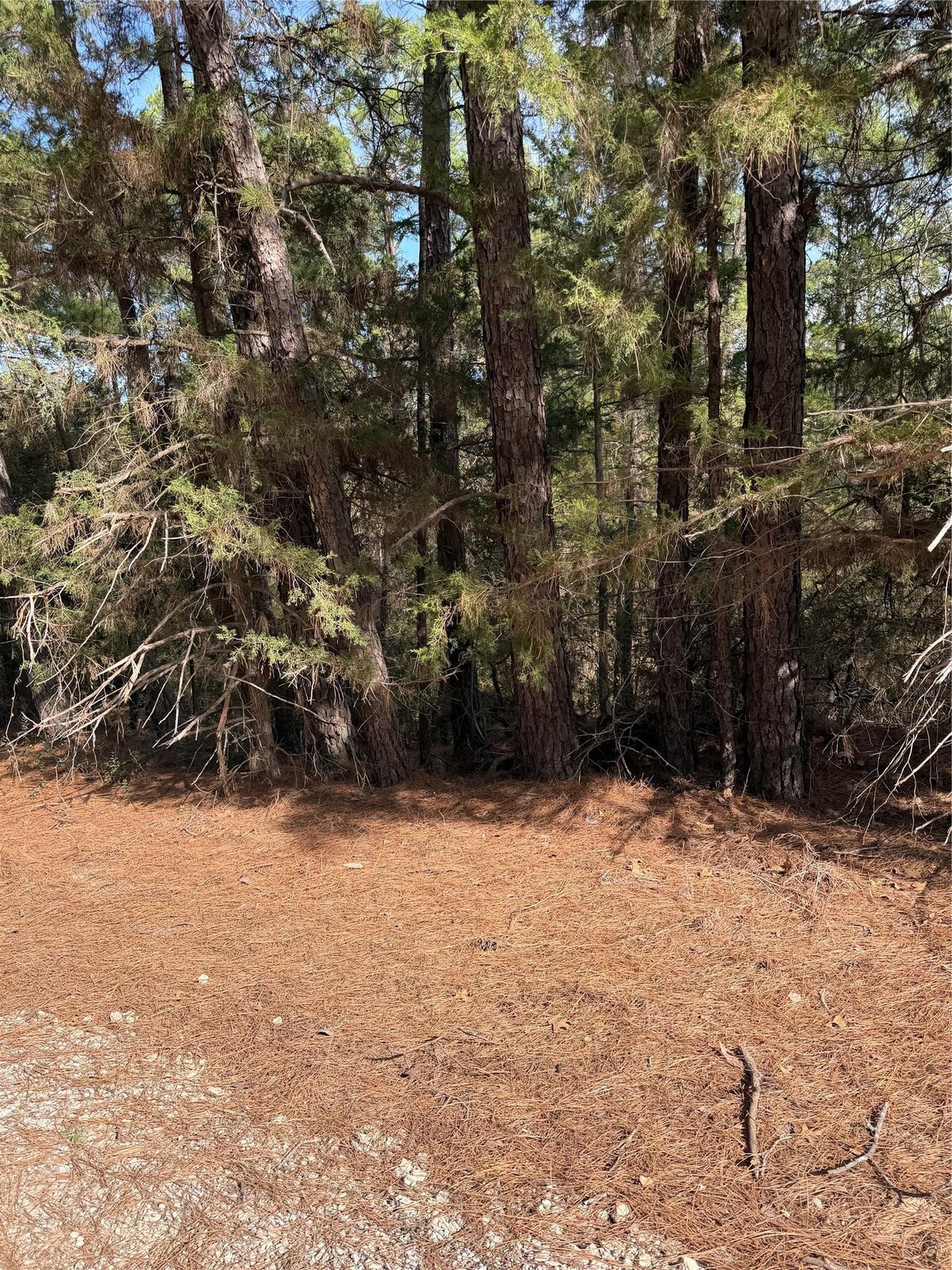 View Lot 266 Wainee Dr in Tahitian Village Lot 266 Wainee Dr - front exterior - Luxury lot in Tahitian Village, Bastrop, TX