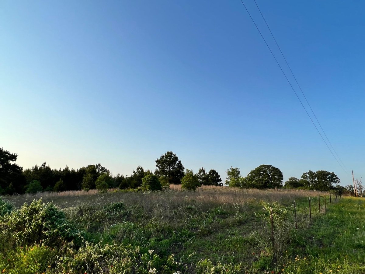 Living area at Lot 27 Kinsey Rd - Pine Ridge Farms, Paige, TX