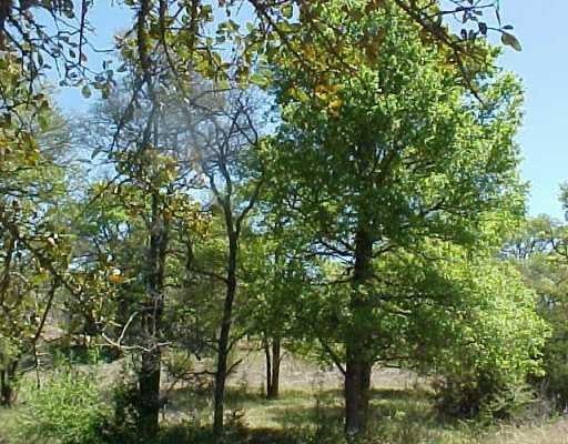 View Lot 28 Spring Creek RD Lot 28 Spring Creek RD - front exterior - Luxury lot in Florence, TX