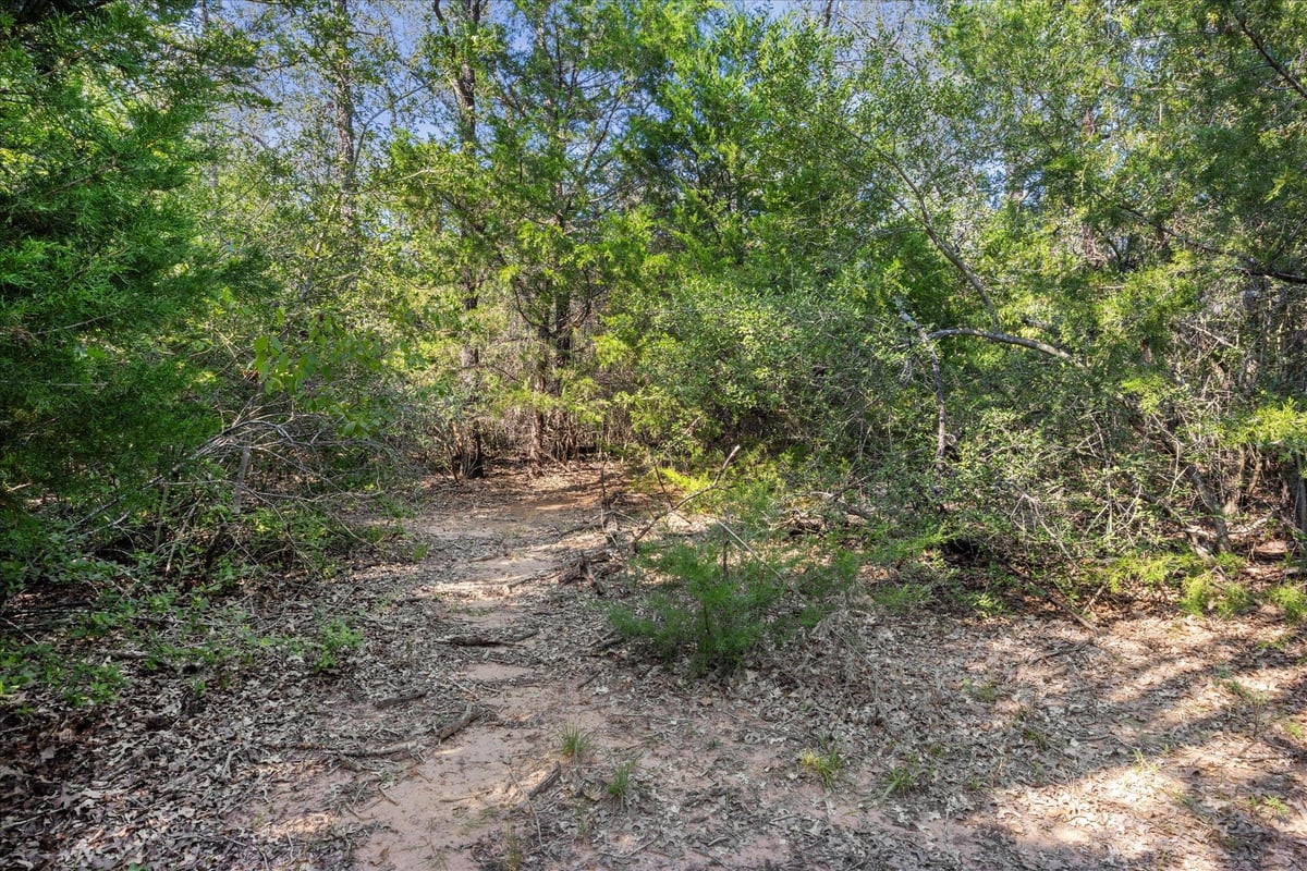 View Lot 29 Walleye Creek TRL in Walleye Creek Ranch Lot 29 Walleye Creek TRL - front exterior - Luxury lot in Walleye Creek Ranch, Lexington, TX