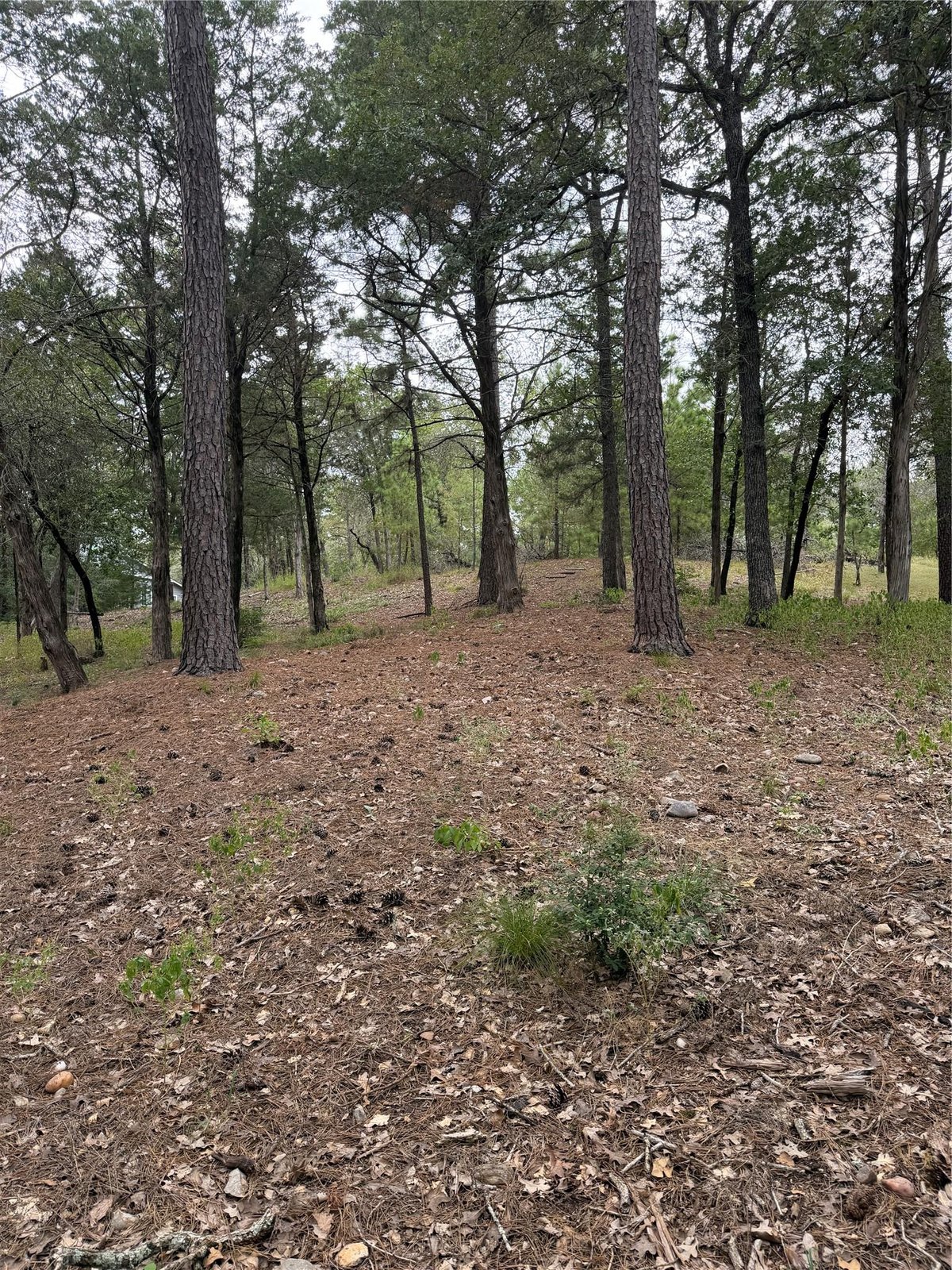 View Lot 290 Aka CT in Tahitian Village, Lot 290 Aka CT - property photo 1 - Luxury lot in Tahitian Village,, Bastrop, TX