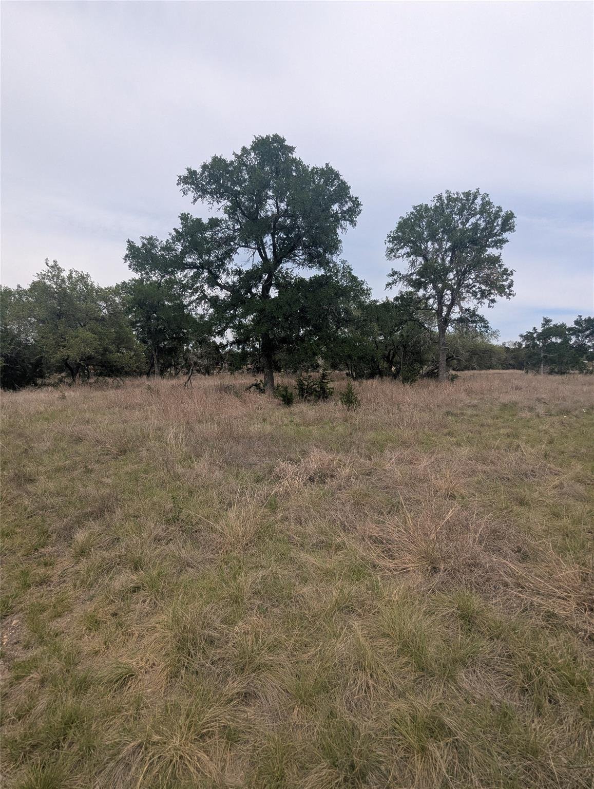 Kitchen at Lot 3 Bell Springs Rd - Vitolich Plaza, Dripping Springs, TX