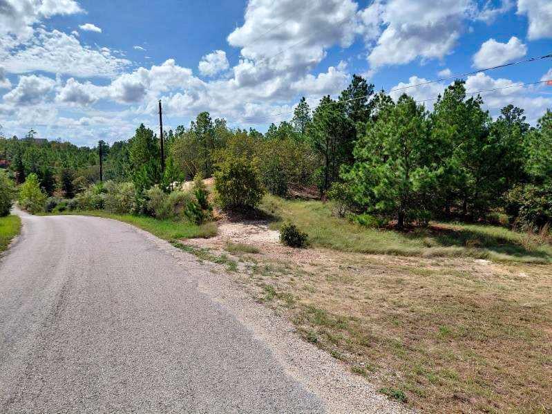 View Lot 3 Tall Forest DR in Bastrop Lot 3 Tall Forest DR, photo 1 of 26, Bastrop, Bastrop, TX