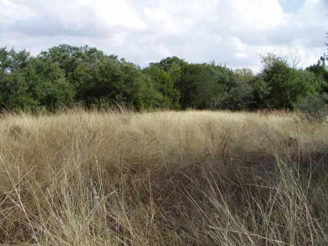 View lot 32 logan ranch RD lot 32 logan ranch RD - front exterior - Luxury lot in Georgetown, TX