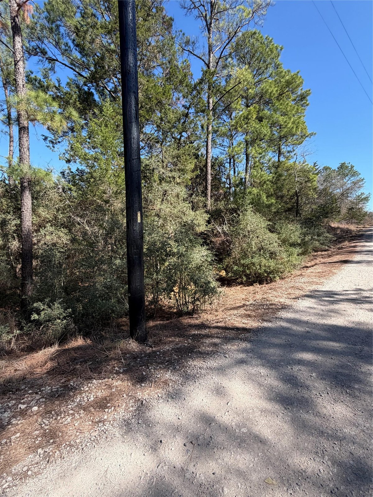 View Lot 320 Keneka Ln in Tahitian Village Lot 320 Keneka Ln - front exterior - Luxury lot in Tahitian Village, Bastrop, TX