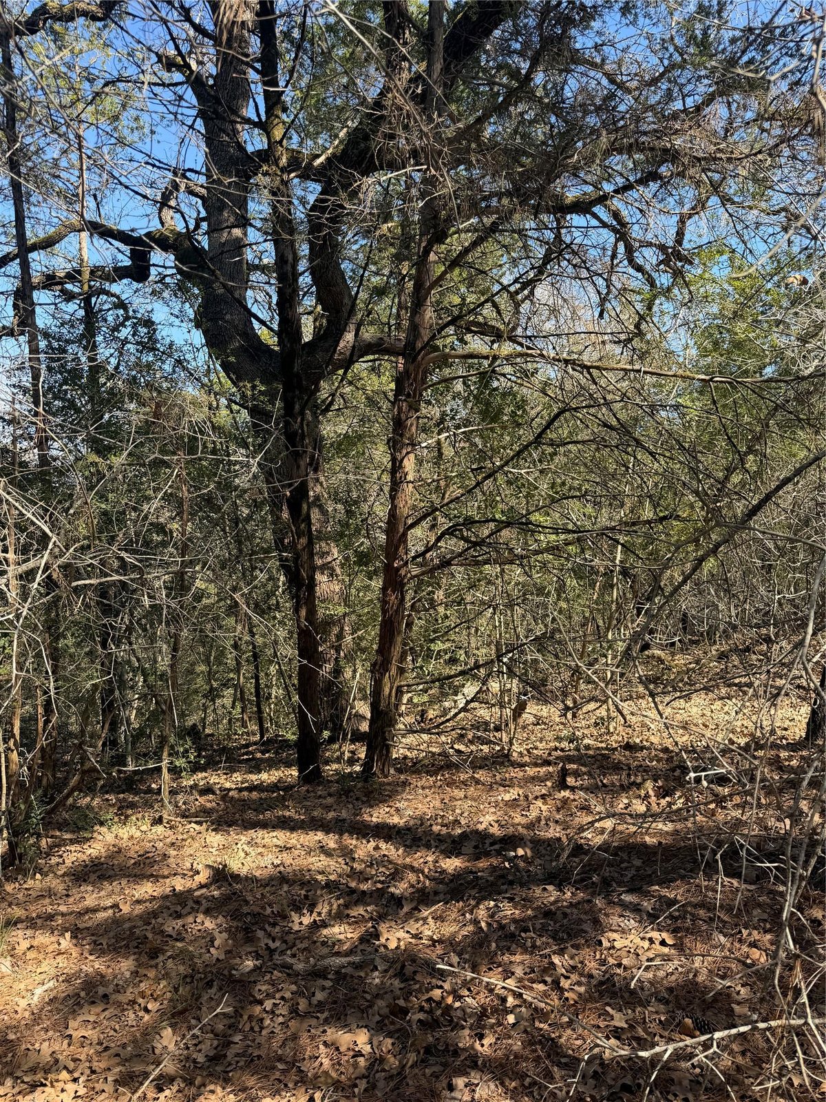 View Lot 321 Keneka Ln in Tahitian Village Lot 321 Keneka Ln - front exterior - Luxury lot in Tahitian Village, Bastrop, TX