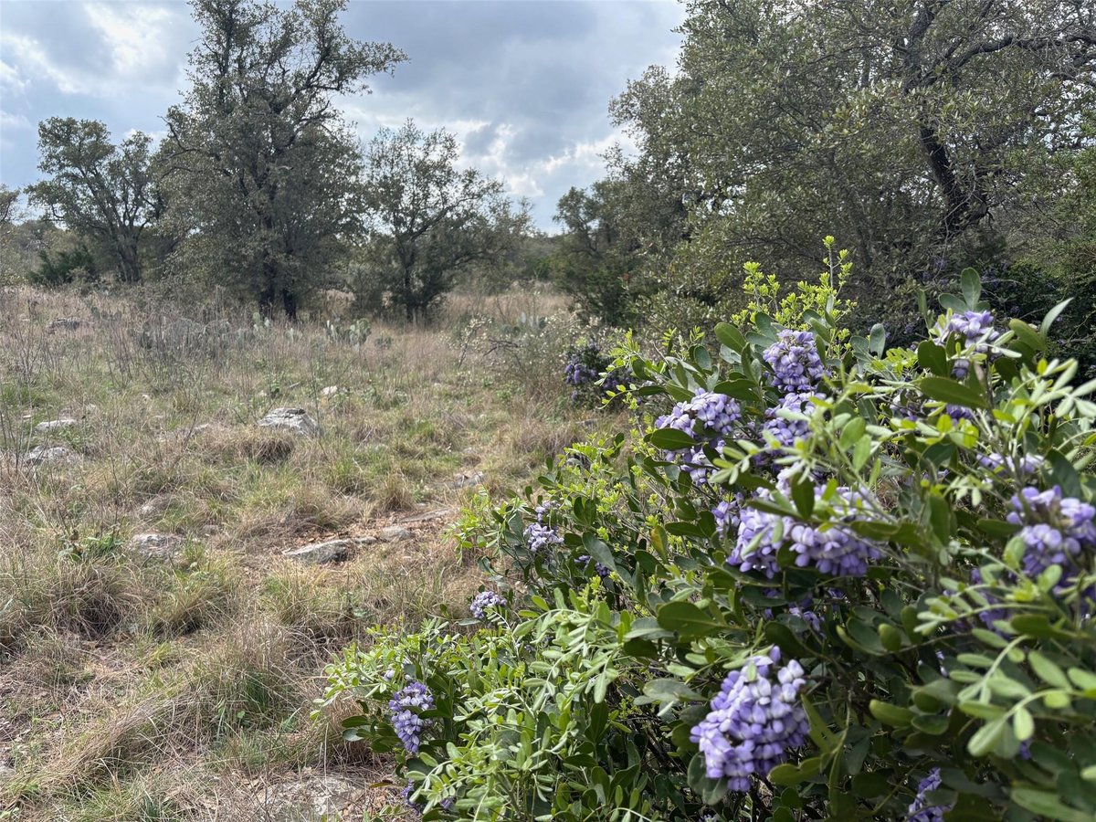 View Lot 34 Eagle Feather in Lookout Mountain West Lot 34 Eagle Feather - front exterior - Luxury lot in Lookout Mountain West, Kingsland, TX