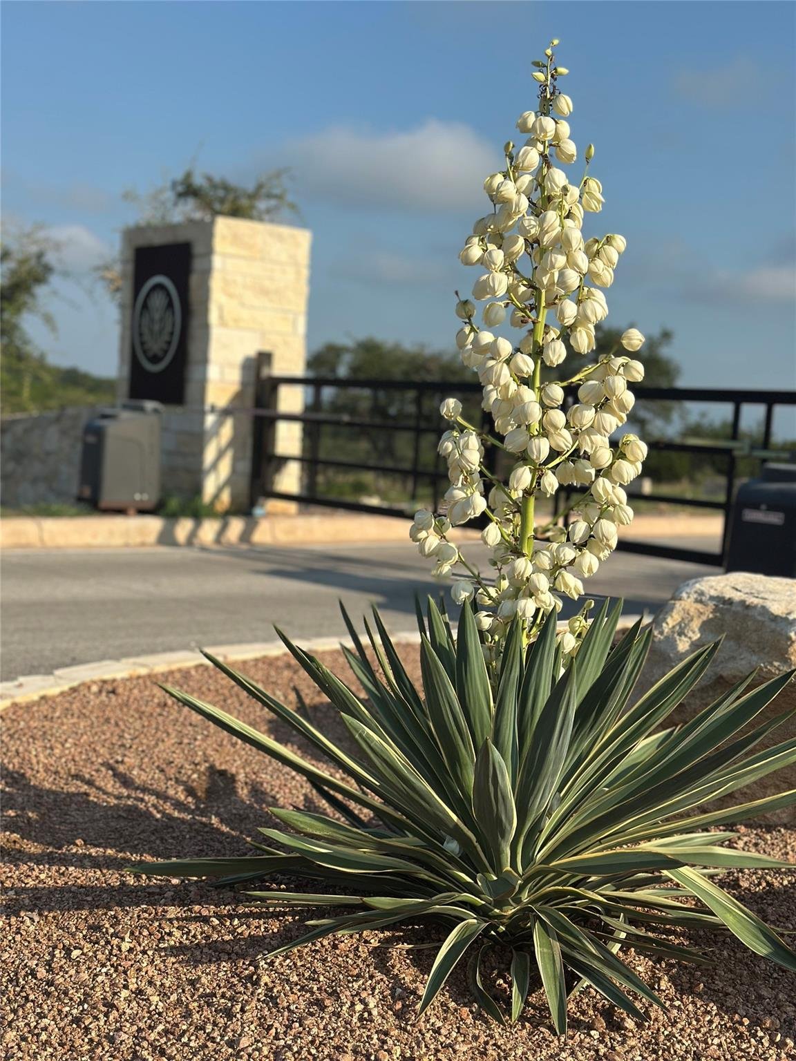 Bathroom at Lot 36 - 6.65 Acres - Round Mountain Reserve Dr - Round Mountain Reserve, Round Mountain, TX