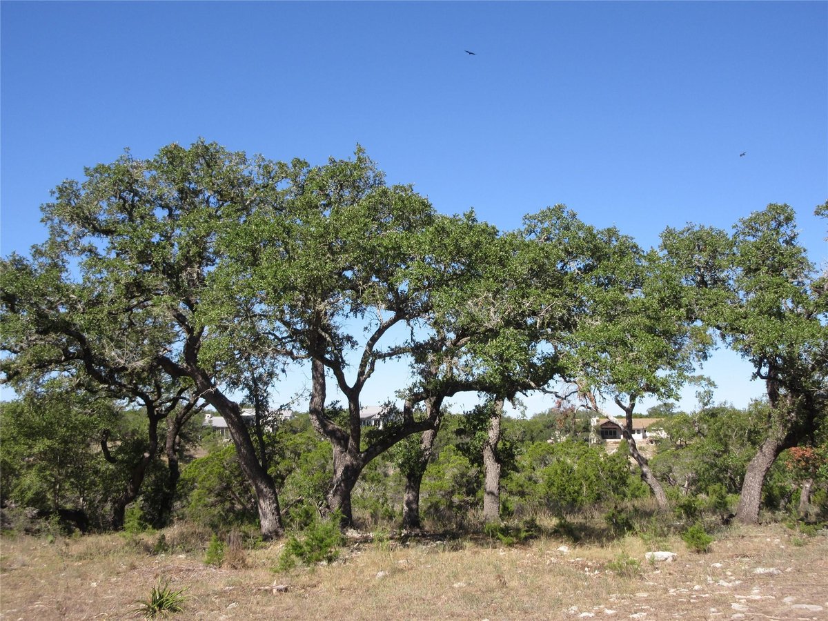 Kitchen at Lot 36 Mustang Valley Trl - Mustang Valley Sec Four, Wimberley, TX