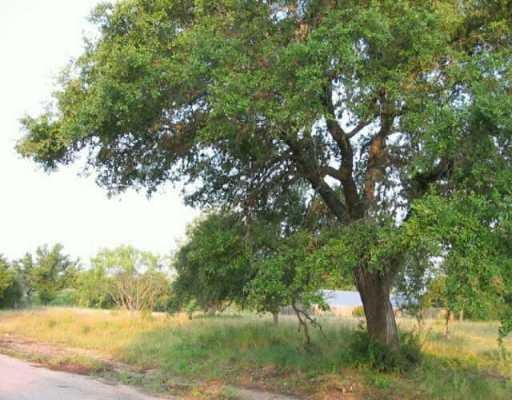 View Lot 4 Haynie Flat RD Lot 4 Haynie Flat RD - front exterior - Luxury lot in Spicewood, TX