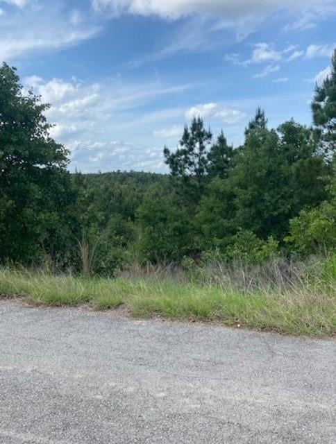 View Lot 4 Kainalu Ln in Pine Forest Unit 9 Ph III Lot 4 Kainalu Ln - front exterior - Luxury lot in Pine Forest Unit 9 Ph III, Bastrop, TX