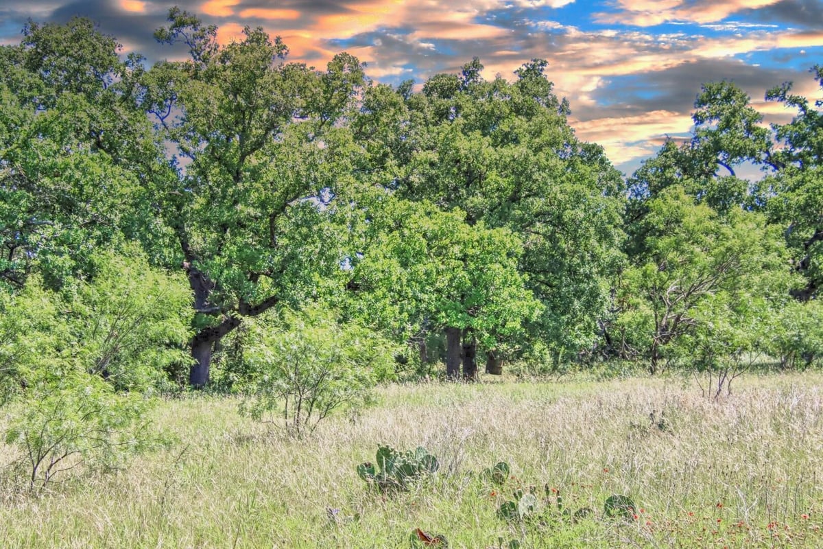 View Lot 4 RM 1323 Lot 4 RM 1323 - front exterior - Luxury lot in Willow City, TX