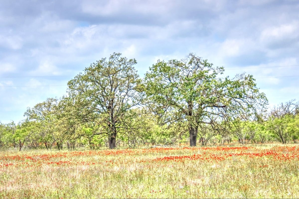 Living area at Lot 4 RM 1323 - Willow City, TX