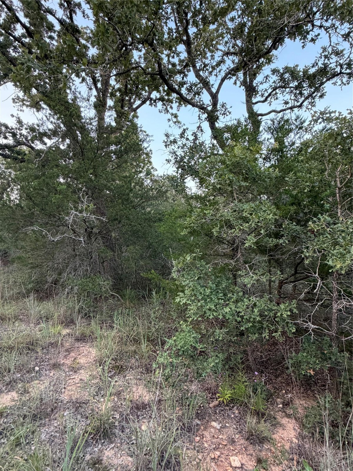 View Lot 4 Spruce ST in Lincoln Lake Est Lot 4 Spruce ST - property photo 1 - Luxury lot in Lincoln Lake Est, Paige, TX