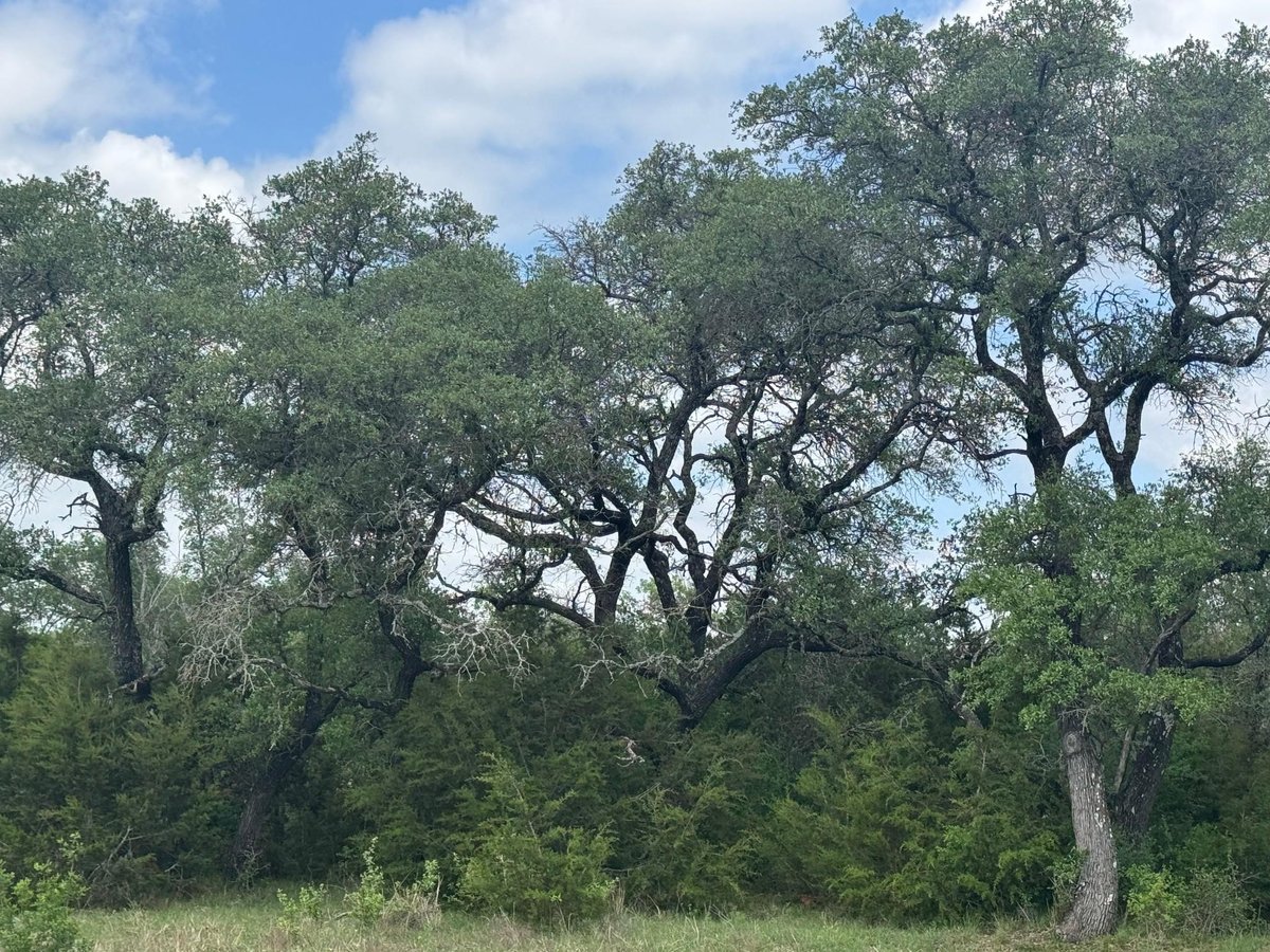 View Lot 40 Maverick WAY in Miller Creek Lot 40 Maverick WAY - front exterior - Luxury lot in Miller Creek, Briggs, TX