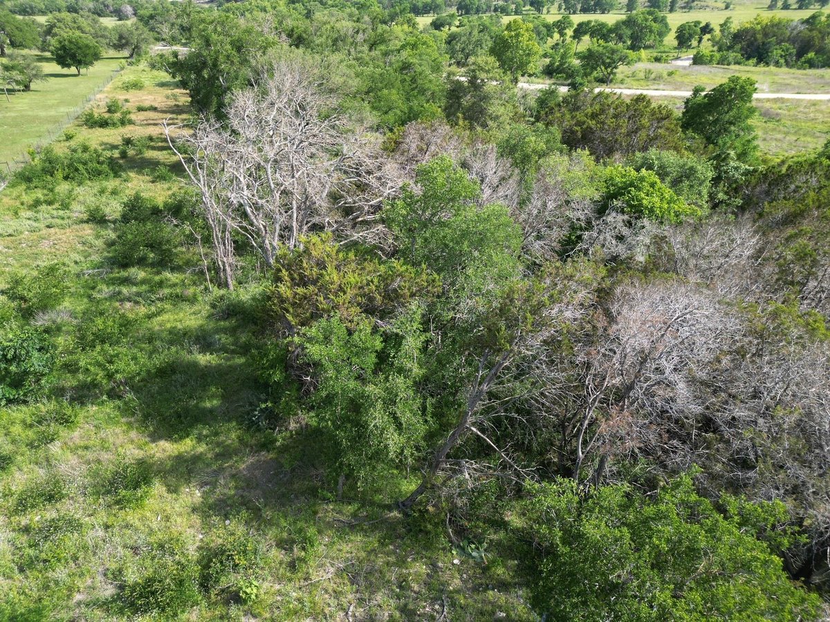 View Lot 40 Serenity Dr in Serenity Springs Lot 40 Serenity Dr - front exterior - Luxury lot in Serenity Springs, Bertram, TX