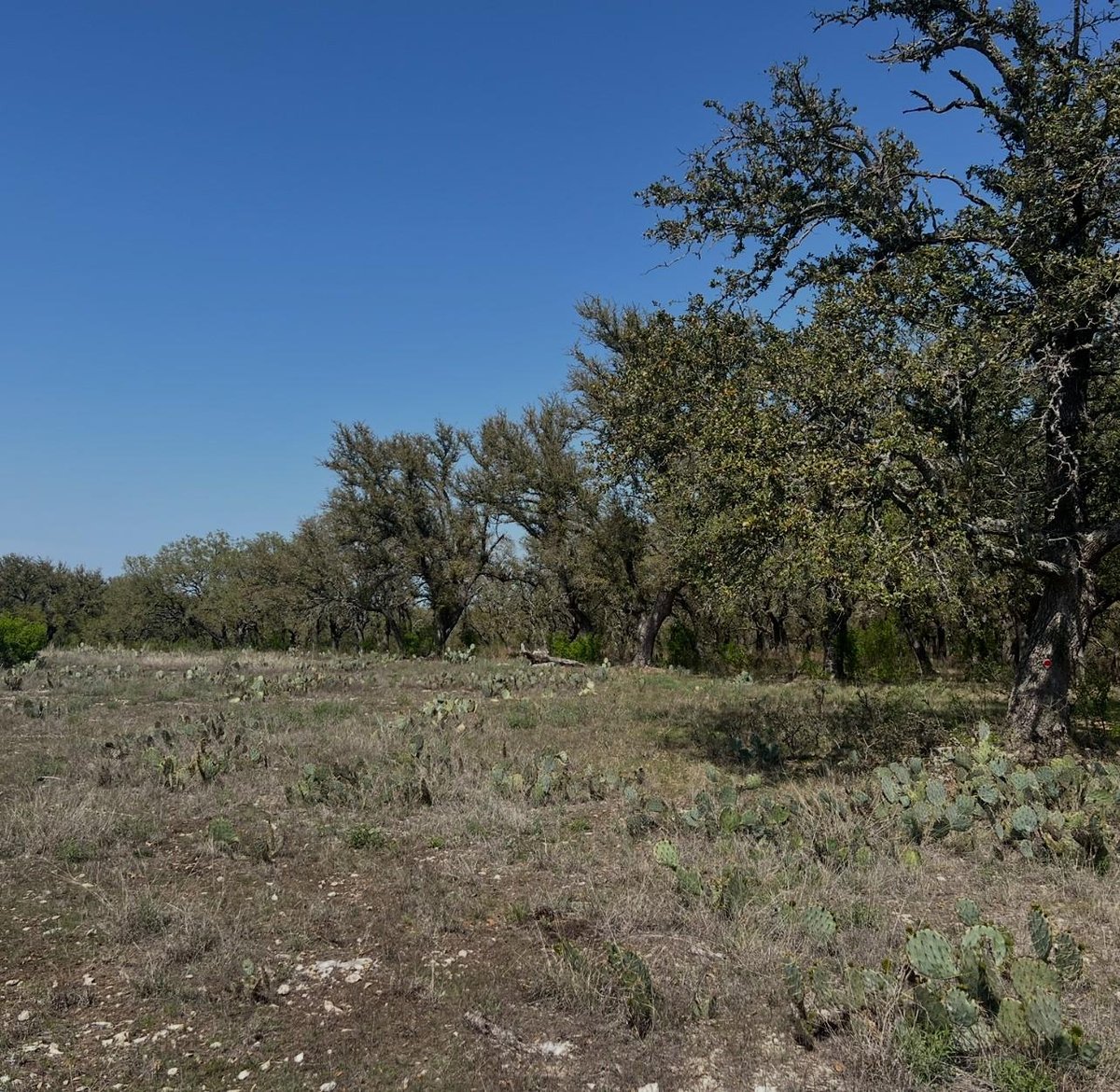 View Lot 42 Waterbuck WAY in Ranches at Blackbuck Ridge Lot 42 Waterbuck WAY - front exterior - Luxury lot in Ranches at Blackbuck Ridge, Lampasas, TX