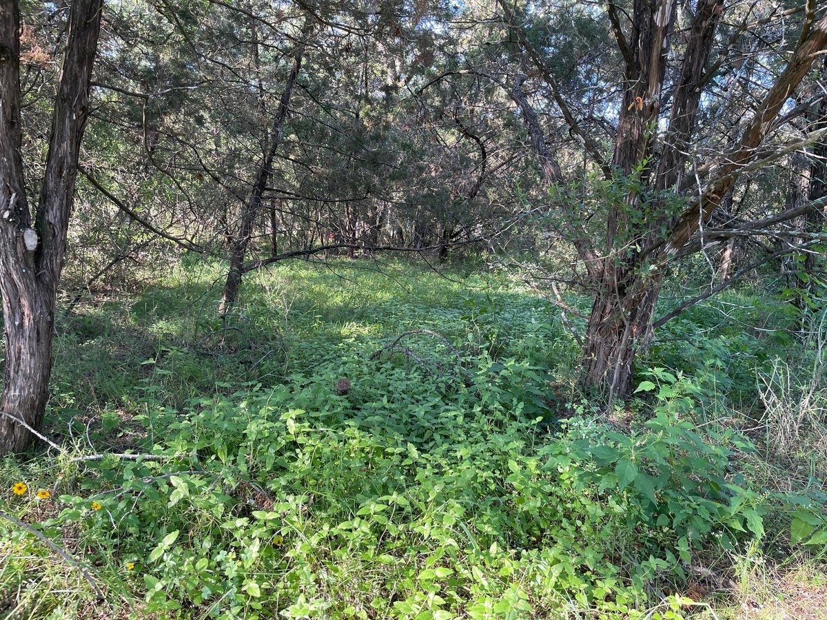 View Lot 423 Indian Summer in Lakeside Beach Lot 423 Indian Summer - front exterior - Luxury lot in Lakeside Beach, Spicewood, TX