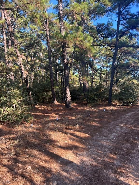 View Lot 43 Pine Lodge DR in Bastrop Lot 43 Pine Lodge DR, photo 1 of 2, Bastrop, Bastrop, TX