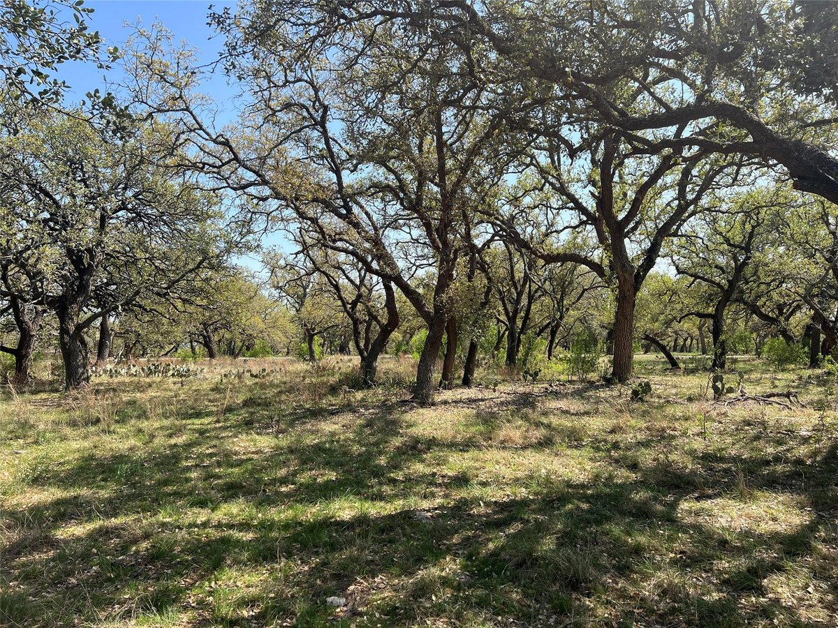 View Lot 43 Waterbuck WAY in Ranches at Blackbuck Ridge Lot 43 Waterbuck WAY - front exterior - Luxury lot in Ranches at Blackbuck Ridge, Lampasas, TX