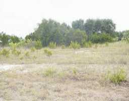 View Lot 45 Longbranch DR Lot 45 Longbranch DR - front exterior - Luxury lot in Austin, TX