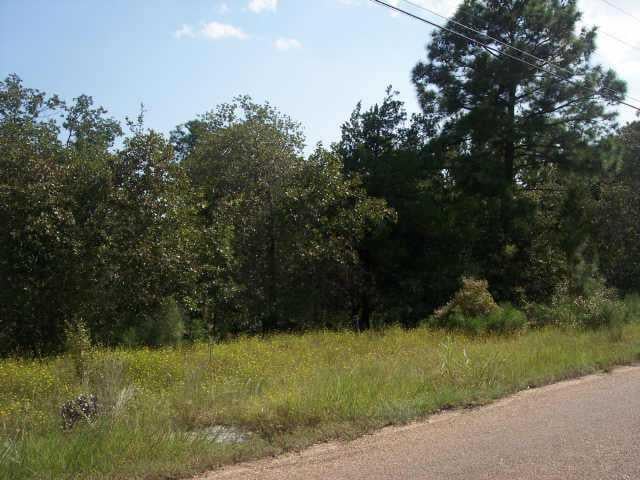 View Lot 45 River Forest DR Lot 45 River Forest DR - front exterior - Luxury lot in Bastrop, TX