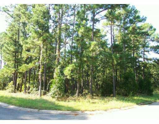 View Lot 46 Pine View LOOP Lot 46 Pine View LOOP - front exterior - Luxury lot in Bastrop, TX