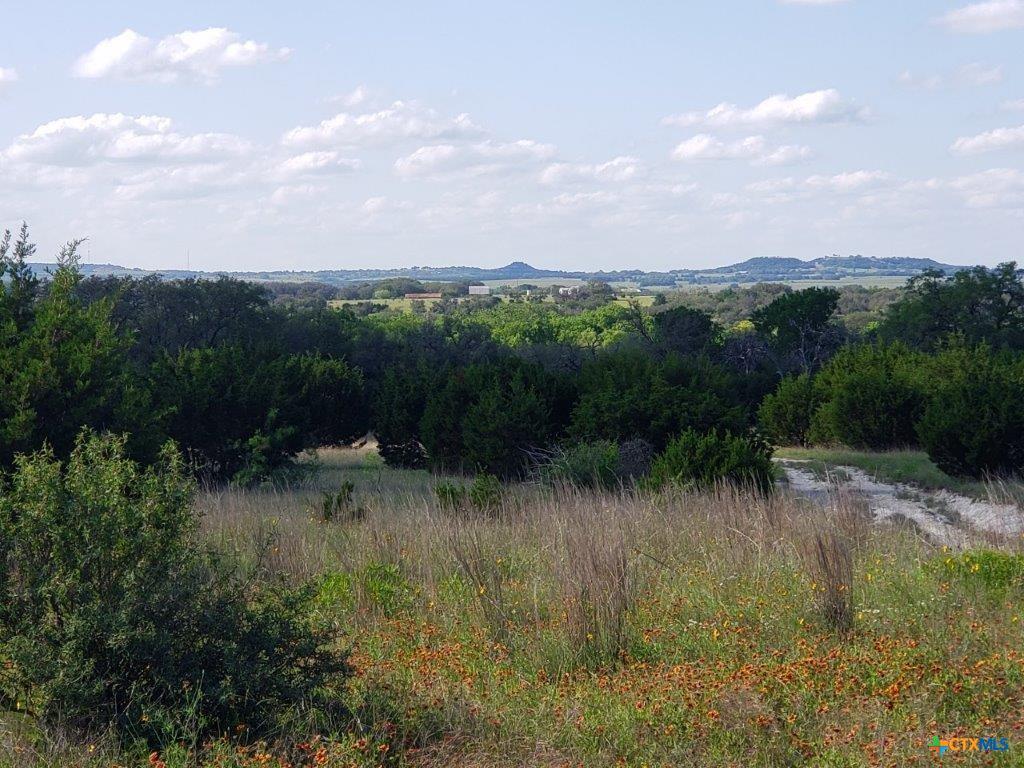 Living area at Lot 5 CR 1255 Pitt Creek Ranch - Lampasas, TX