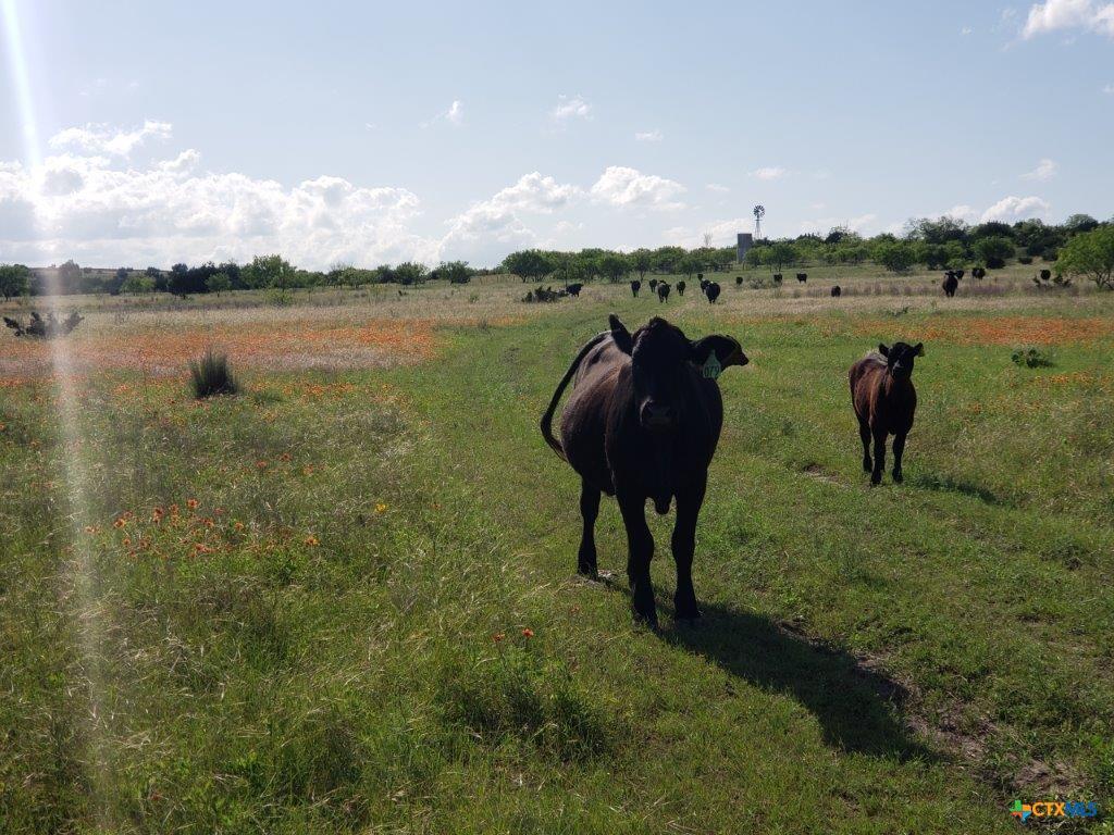 Primary bedroom at Lot 5 CR 1255 Pitt Creek Ranch - Lampasas, TX