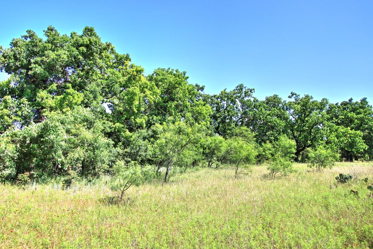 Kitchen at Lot 5 RM 1323 - Willow City, TX