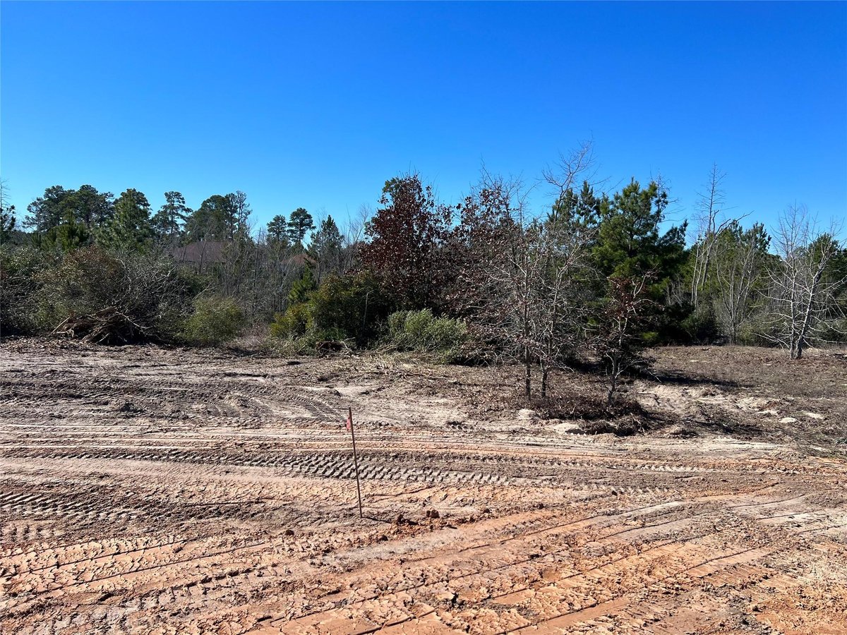 View Lot 50 Martin Ln in Circle D Lot 50 Martin Ln - front exterior - Luxury lot in Circle D, Paige, TX