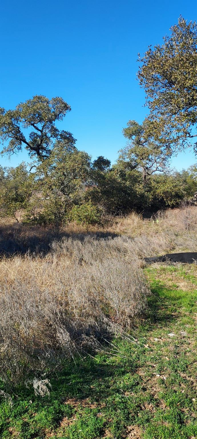 View Lot 50 Pristine PASS in The Cliffs At Water Ridge Lot 50 Pristine PASS - property photo 1 - Luxury lot in The Cliffs At Water Ridge, Buchanan Dam, TX