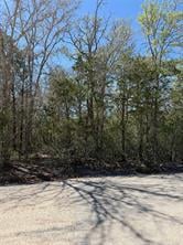 View Lot 539 Iva LN in Tahitian Village, Lot 539 Iva LN - property photo 1 - Luxury lot in Tahitian Village,, Bastrop, TX