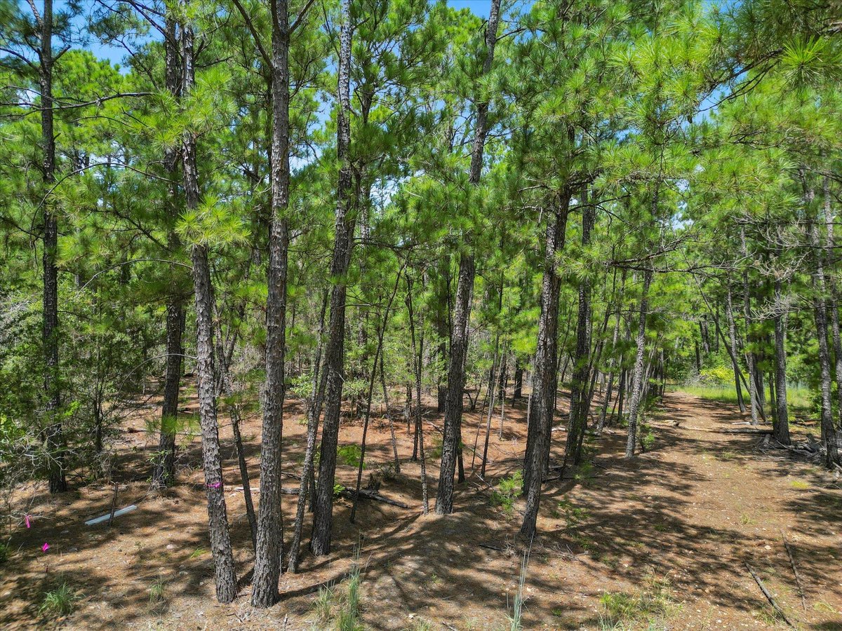 View Lot 54 Akala Ln in Pine Forest Lot 54 Akala Ln - front exterior - Luxury lot in Pine Forest, Bastrop, TX