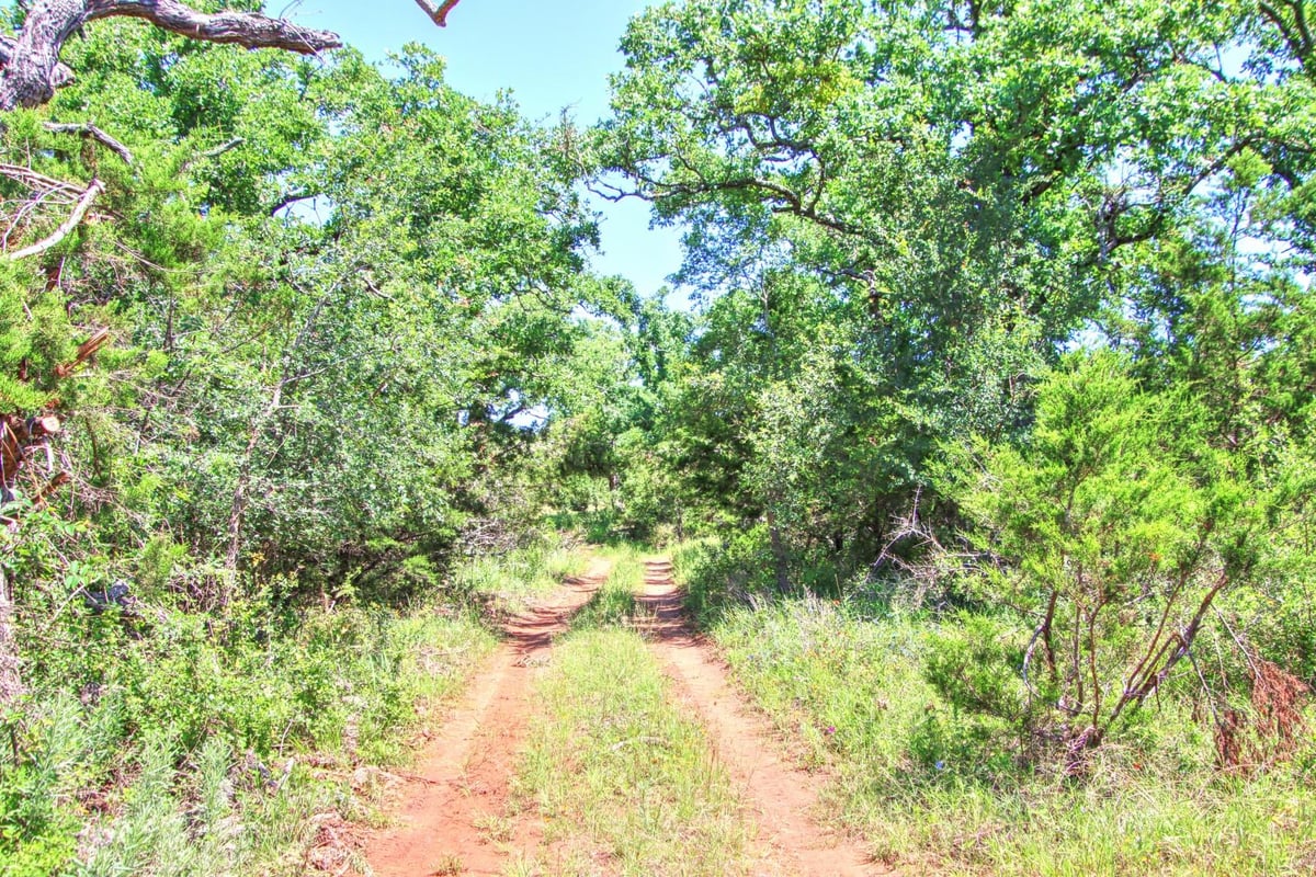 View Lot 6 RM 1323 Lot 6 RM 1323 - front exterior - Luxury lot in Willow City, TX