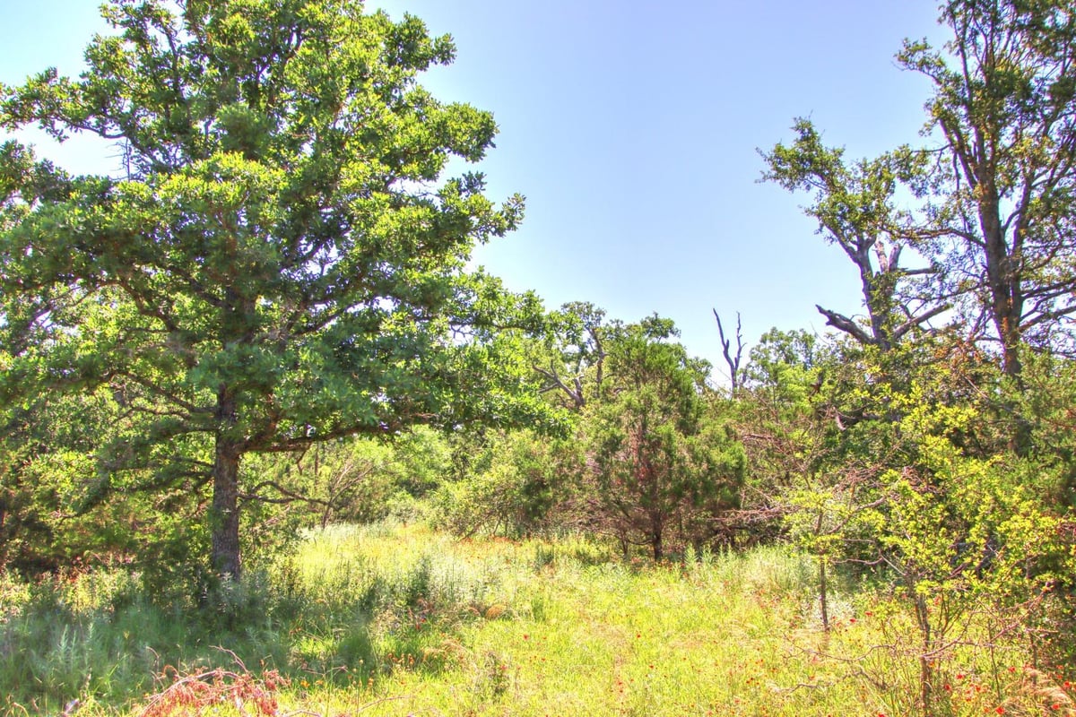 Primary bedroom at Lot 6 RM 1323 - Willow City, TX