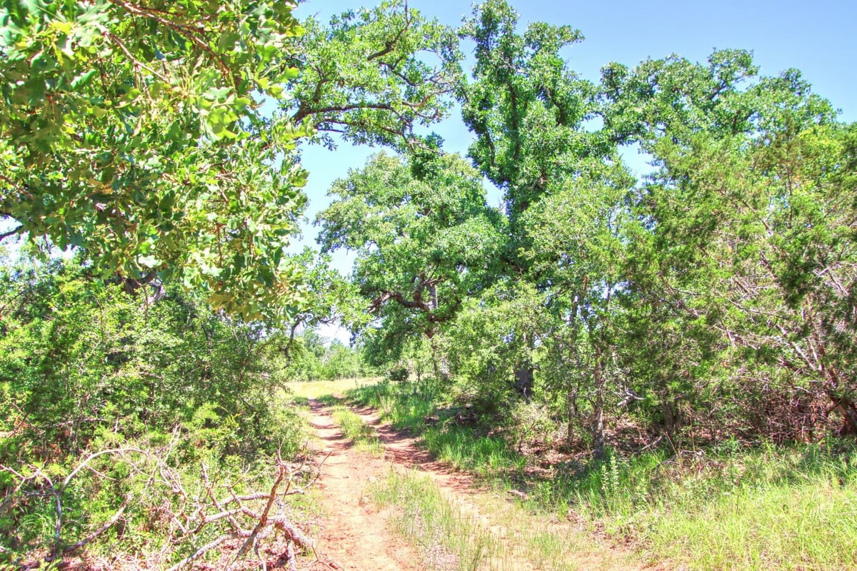 Bathroom at Lot 6 RM 1323 - Willow City, TX