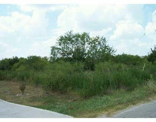 View Lot 62 Headquarters in Cedar Creek Lot 62 Headquarters, photo 1, Cedar Creek, Cedar Creek, TX