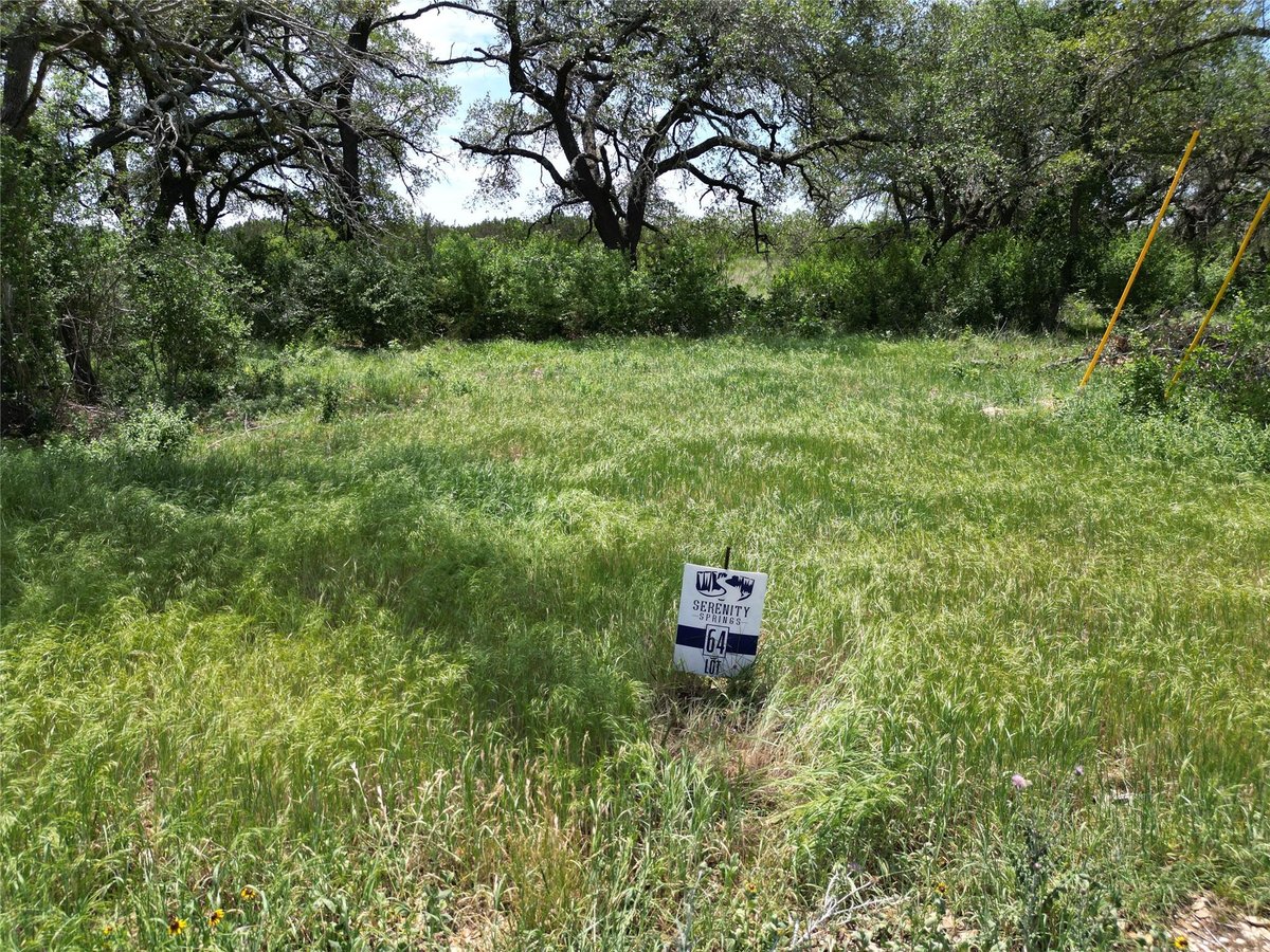 View Lot 64 Rycen Dr in Serenity Springs Lot 64 Rycen Dr - front exterior - Luxury lot in Serenity Springs, Bertram, TX