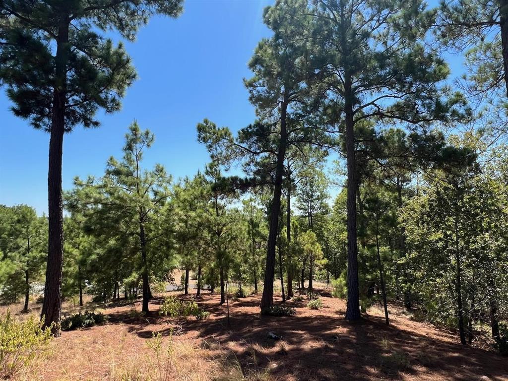 View lot 666 Honopupu Dr in Tahitian Village lot 666 Honopupu Dr - front exterior - Luxury lot in Tahitian Village, Bastrop, TX