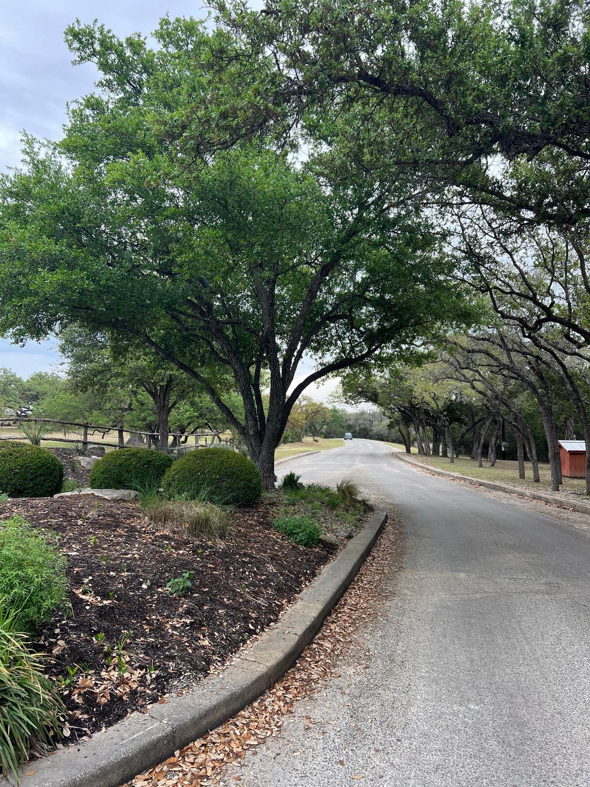 View lot 67 Broken Spoke 5 Acres in Rebecca Creek Ranches 1 lot 67 Broken Spoke 5 Acres - front exterior - Luxury lot in Rebecca Creek Ranches 1, Canyon Lake, TX
