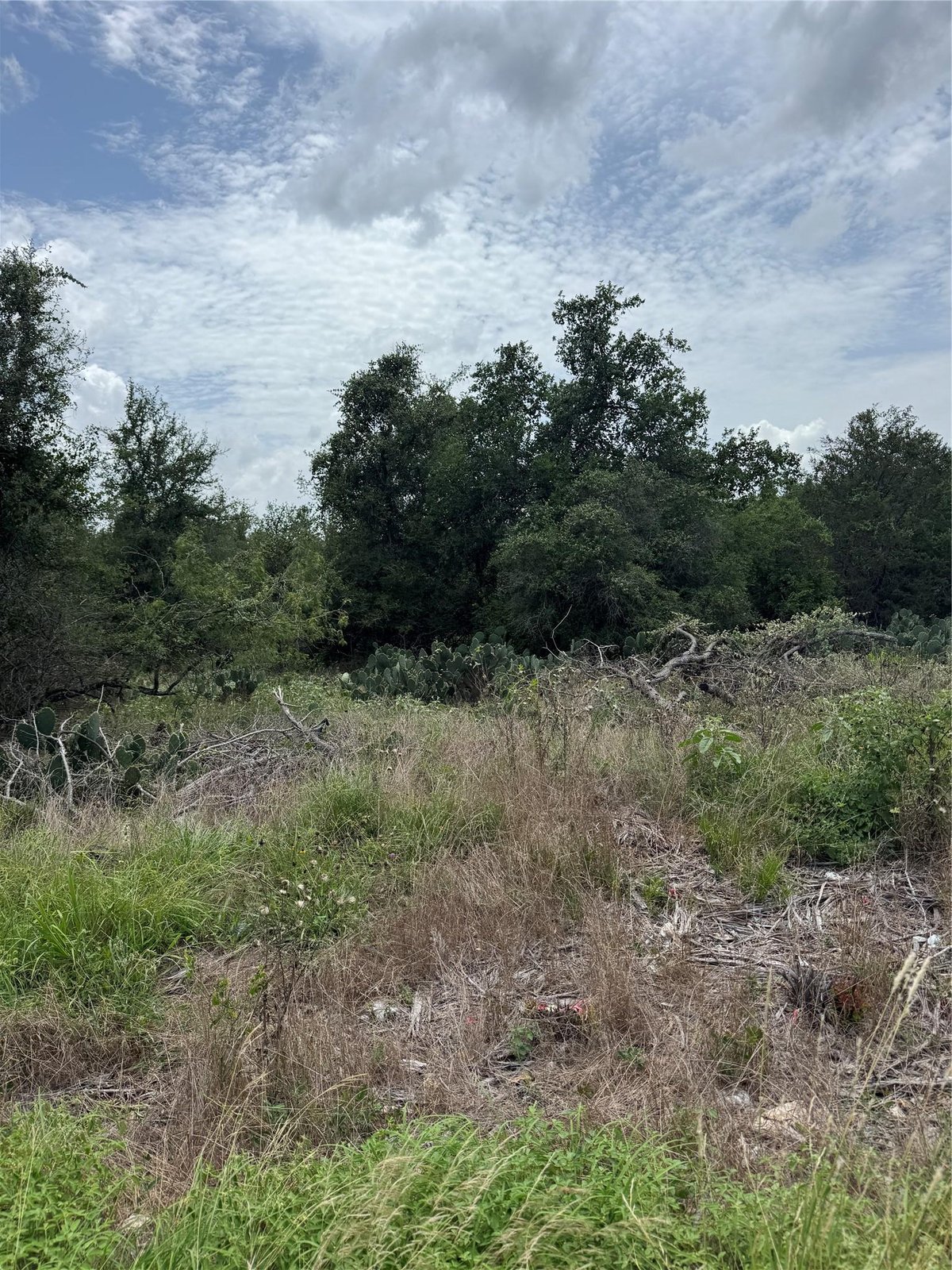View Lot 687 Kawainui Ln in Tahitian Village Lot 687 Kawainui Ln - front exterior - Luxury lot in Tahitian Village, Bastrop, TX
