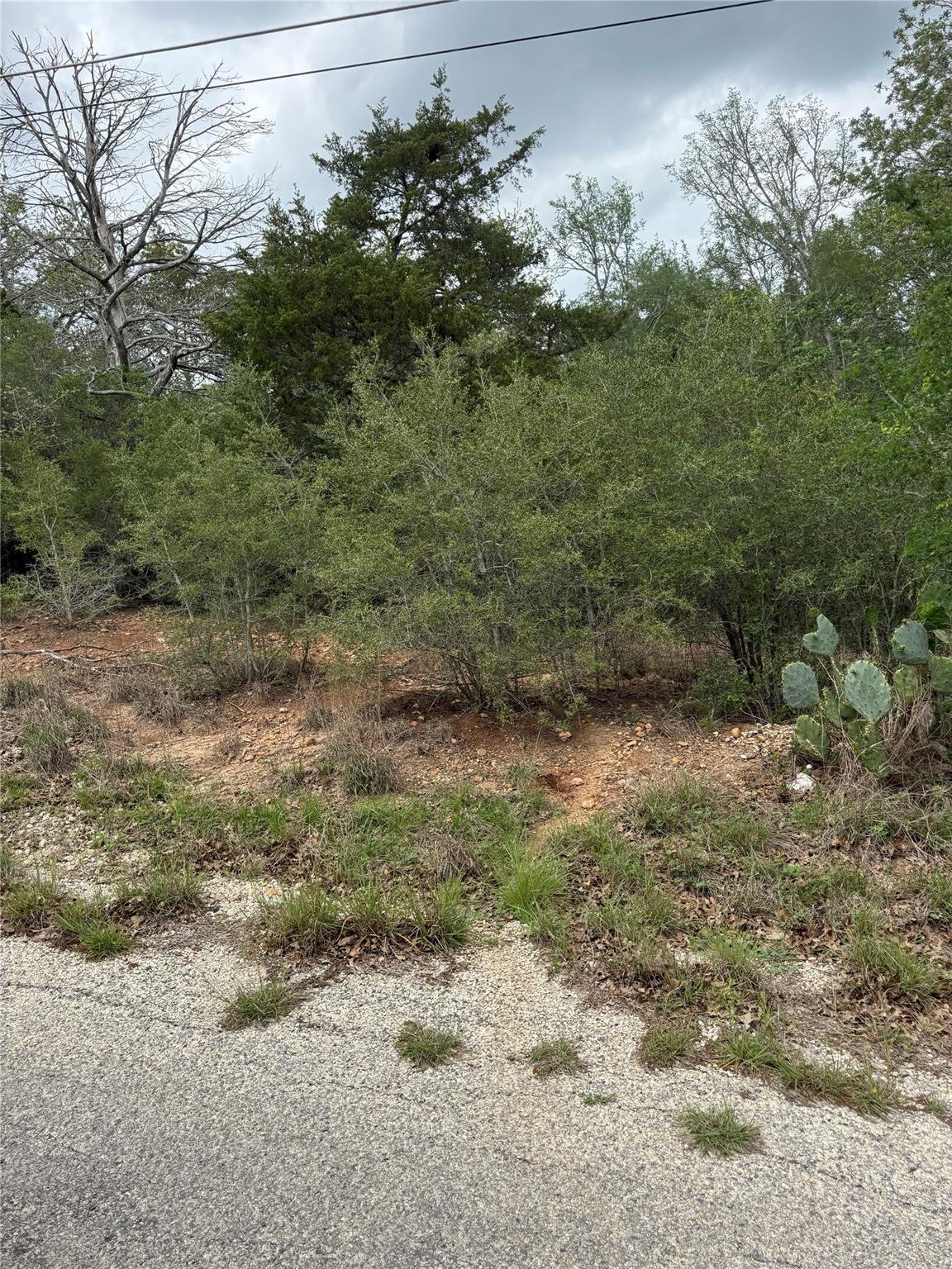 View lot 69 Kaelepulu Dr in Tahitian Village lot 69 Kaelepulu Dr - front exterior - Luxury lot in Tahitian Village, Bastrop, TX