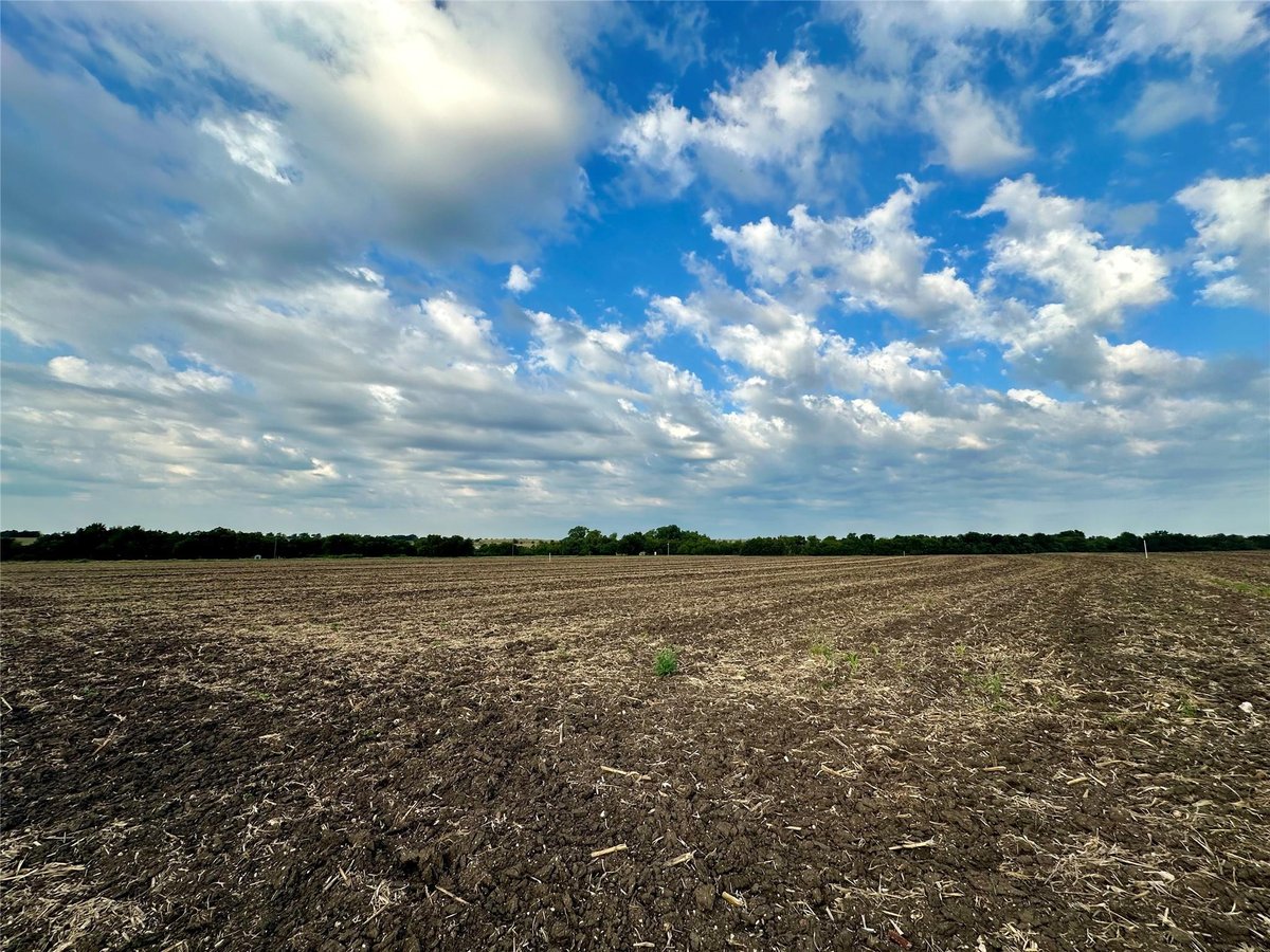 View Lot 7 CR 320 in Dawsons Crossing Lot 7 CR 320 - front exterior - Luxury lot in Dawsons Crossing, Granger, TX