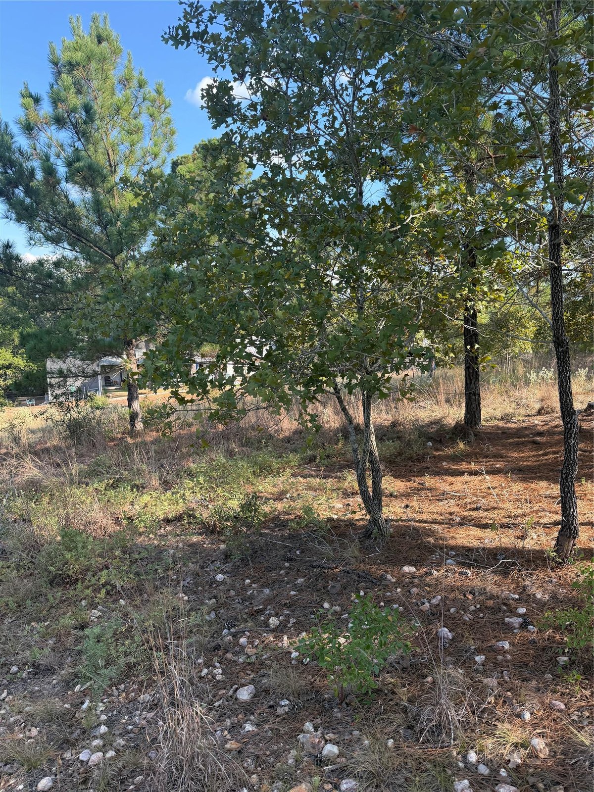 View Lot 702 Oahu CT in Bastrop Lot 702 Oahu CT, photo 1 of 6, Bastrop, Bastrop, TX