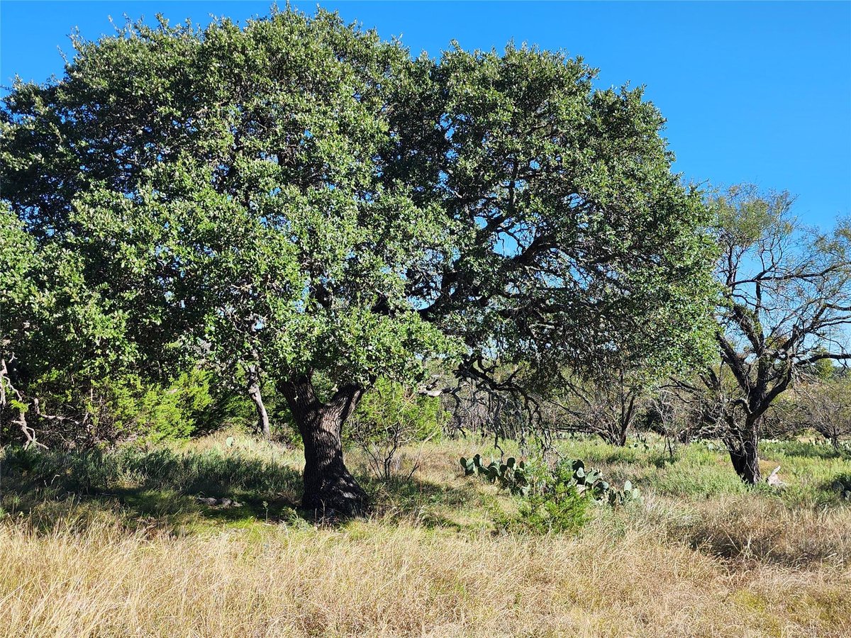 View Lot 73 Shin Oak Dr in Cross Timber Ranch Lot 73 Shin Oak Dr - front exterior - Luxury lot in Cross Timber Ranch, Lampasas, TX