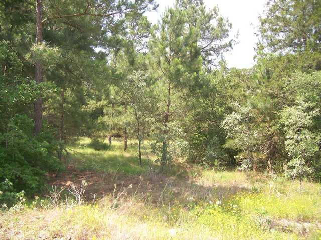 View Lot 86 South Buckhorn Lot 86 South Buckhorn - front exterior - Luxury lot in Bastrop, TX