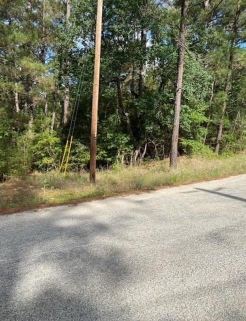 View Lot 93 Papawai Dr in Tahitian Village, Lot 93 Papawai Dr - front exterior - Luxury lot in Tahitian Village,, Bastrop, TX