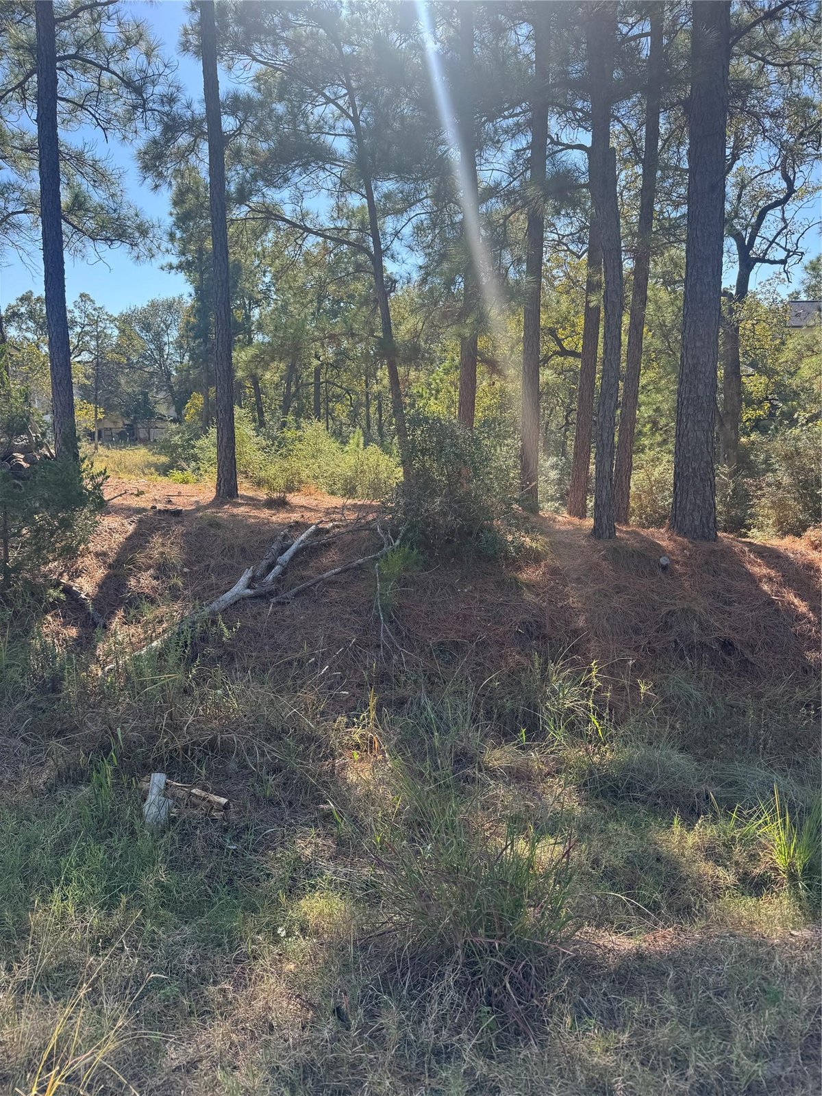 View Lot 97 Kaelepulu Dr in Tahitian Village, Lot 97 Kaelepulu Dr - front exterior - Luxury lot in Tahitian Village,, Bastrop, TX