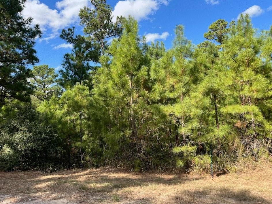 View Lot 986 Kailua L LN in Tahitian Village, Lot 986 Kailua L LN - property photo 1 - Luxury lot in Tahitian Village,, Bastrop, TX